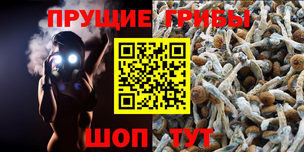 Галлюциногенные грибы Psilocybe Таганрог