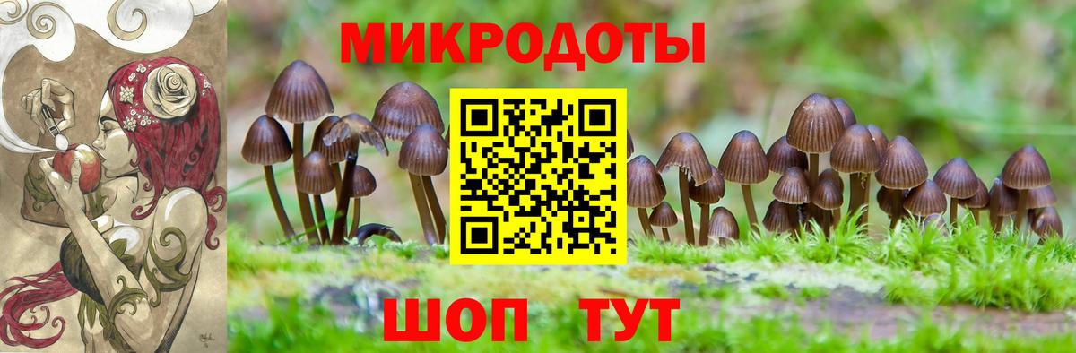 Псилоцибиновые грибы MAGIC MUSHROOMS  Вход с VPN  как найти закладки  Таганрог 
